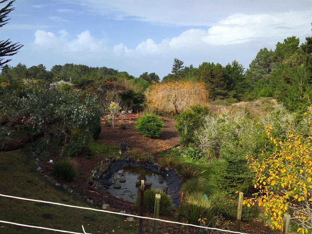44900 Gordon Ln, Mendocino, CA 95460