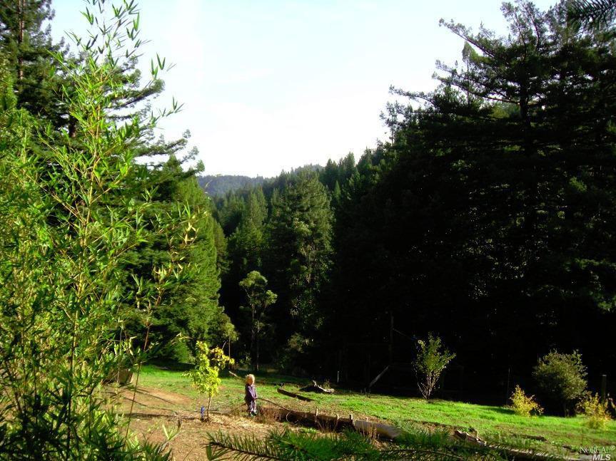 1940Charoliase Drive, Navarro, CA 95463