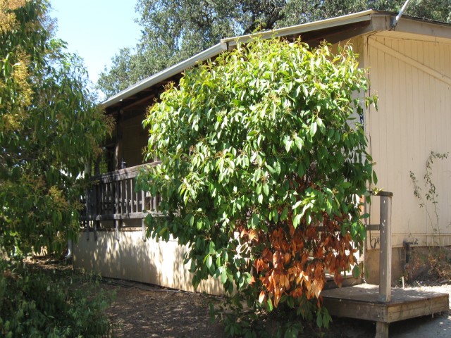 3019 Lakeview DrNice, CA, 95464Lake County