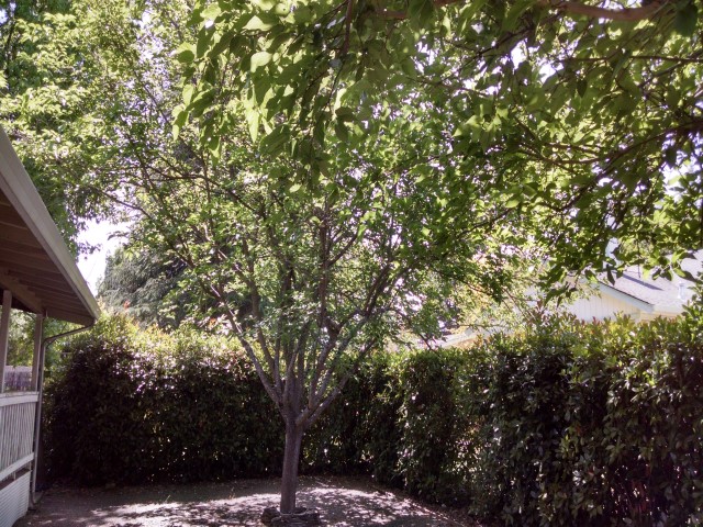 19845 Mountain Meadow NHidden Valley Lake, CA, 95467Lake County