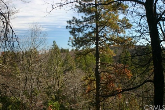 Mendocino National Forest, 31345 Little Doe Court