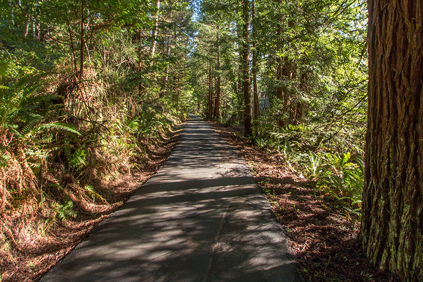 2630 Bainbridge Street, Eureka, United States 95503