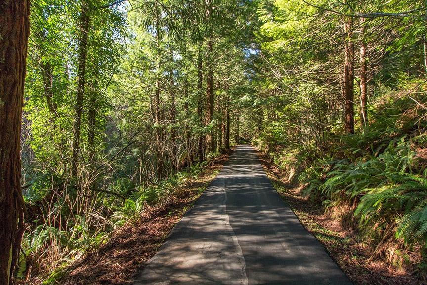 2630 Bainbridge Street, Eureka, CA 95503
