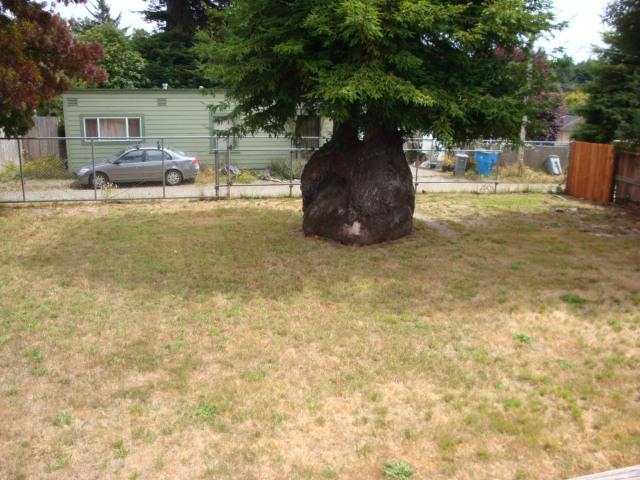 3873 G StEureka, CA, 95503Humboldt County
