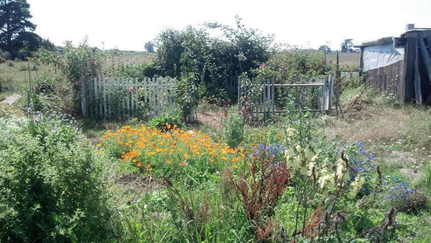 1387 Janes Road, Arcata, CA 95521
