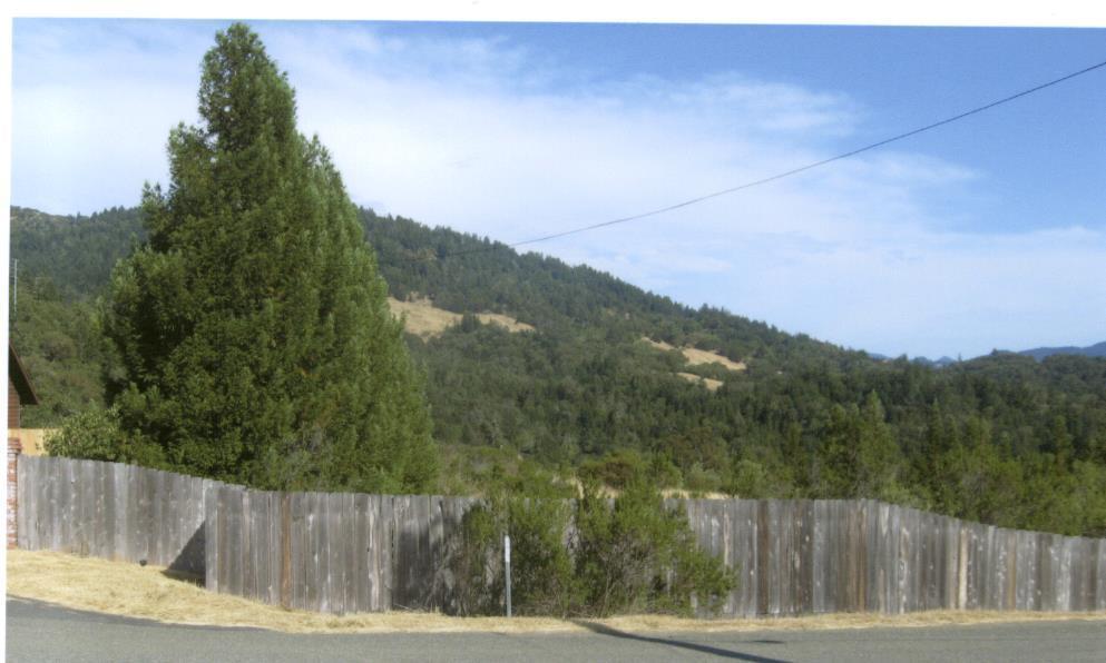 120 Wallan Road, Garberville, CA 95542