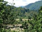 PINE CREEK RD ,CA, Hoopa, 95546