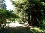 PINE CREEK RD ,CA, Hoopa, 95546
