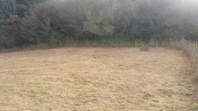 9565 Highway 101Smith River, CA, 95567Del Norte County