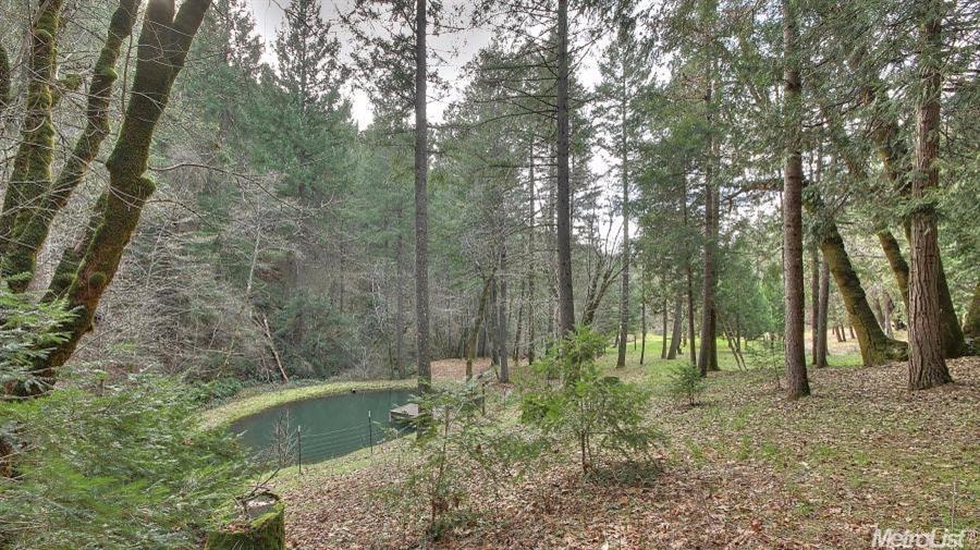 4280 Yankee Jims Road, Foresthill, United States 95631
