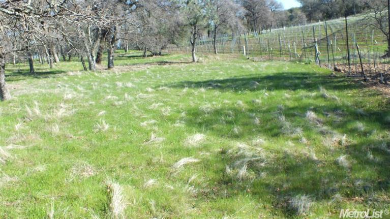 6806Lot 25 Rutherford Canyon Road, Loomis, United States 95650