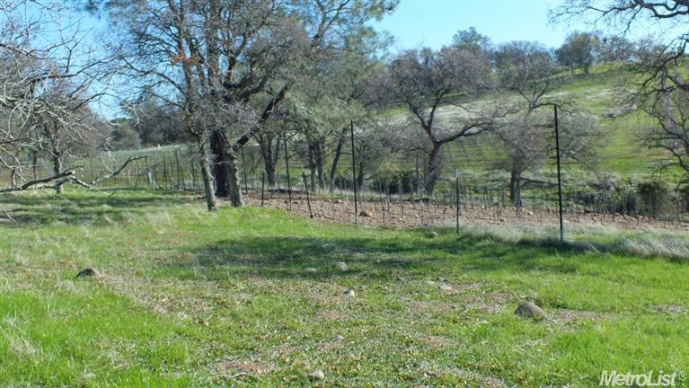 6806Lot 25 Rutherford Canyon Road, Loomis, United States 95650