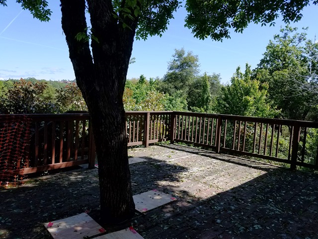 1043 Hummingbird LPlacerville, CA, 95667El Dorado County