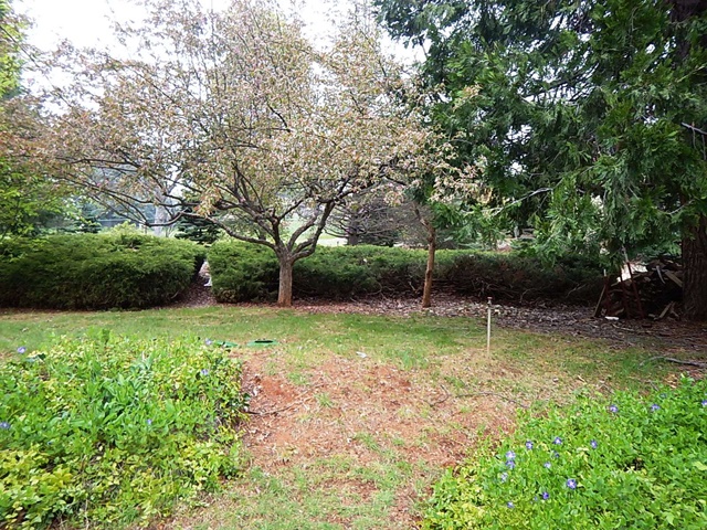 3074 Cascade CourtCamino, CA, 95709El Dorado County