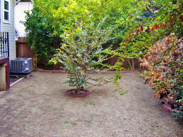 2220 E StreetSacramento, CA, 95816Sacramento County