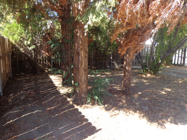 4345 4th AveSacramento, CA, 95817Sacramento County