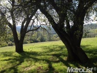 17409 Bald Hill Rd, Grass Valley, United States 95949