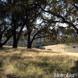17409 Bald Hill Rd, Grass Valley, United States 95949