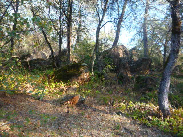 59 Crystal Pines RdOroville, CA, 95965Butte County