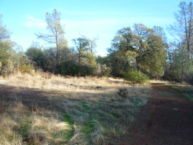 59 Crystal Pines RdOroville, CA, 95965Butte County
