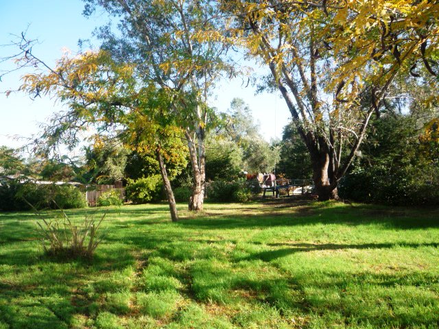 56 Oak AveOroville, CA, 95966Butte County