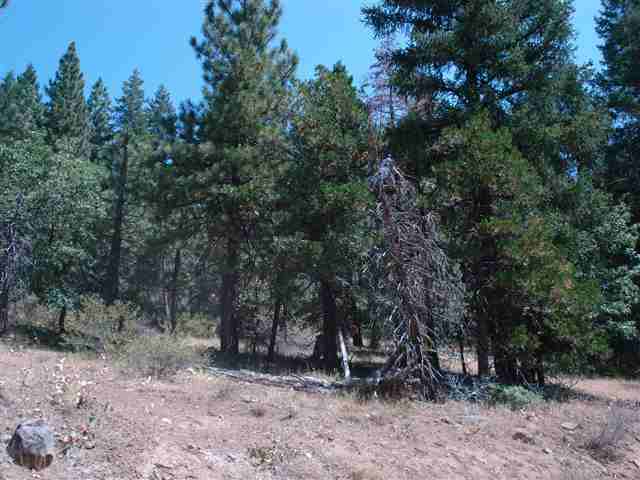 39885 Highway 70