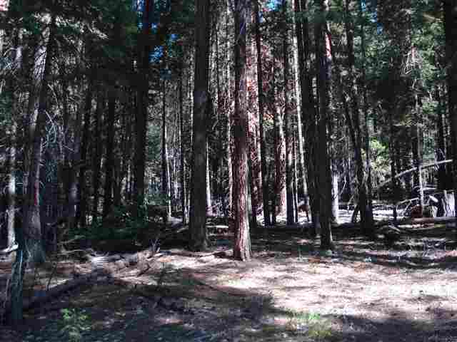 39885 Highway 70