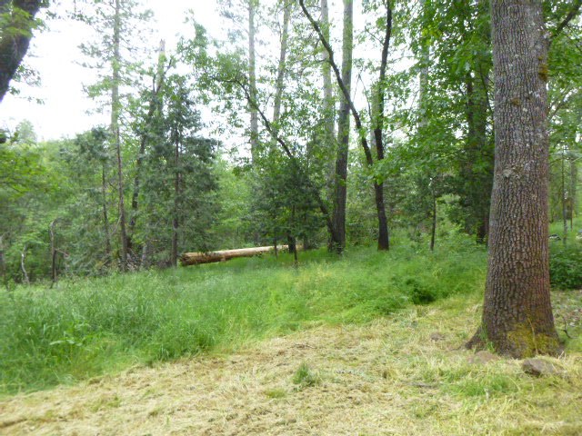 24 Brooks DrChico, CA, 95973Butte County