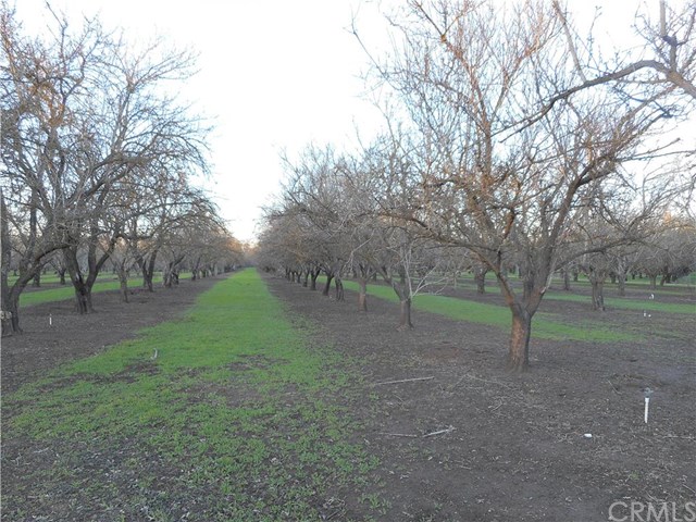 3052 Grape Way, Chico, CA 95973