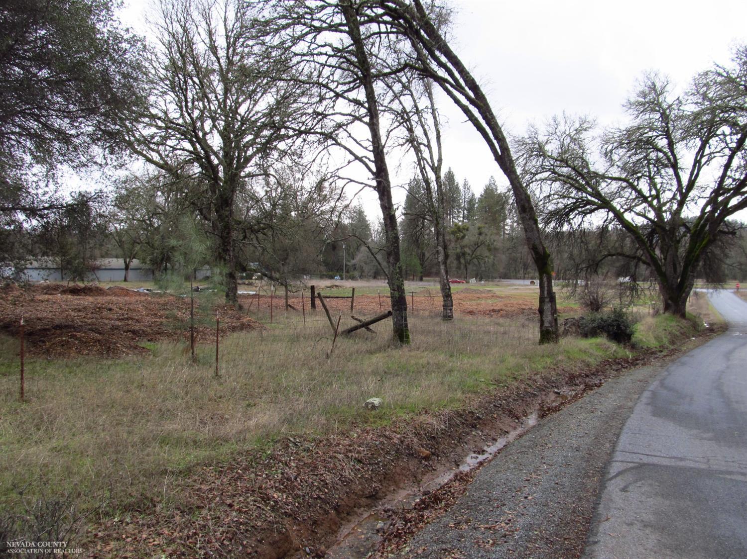 17400 Cattle Drive, Rough And Ready, United States 95975