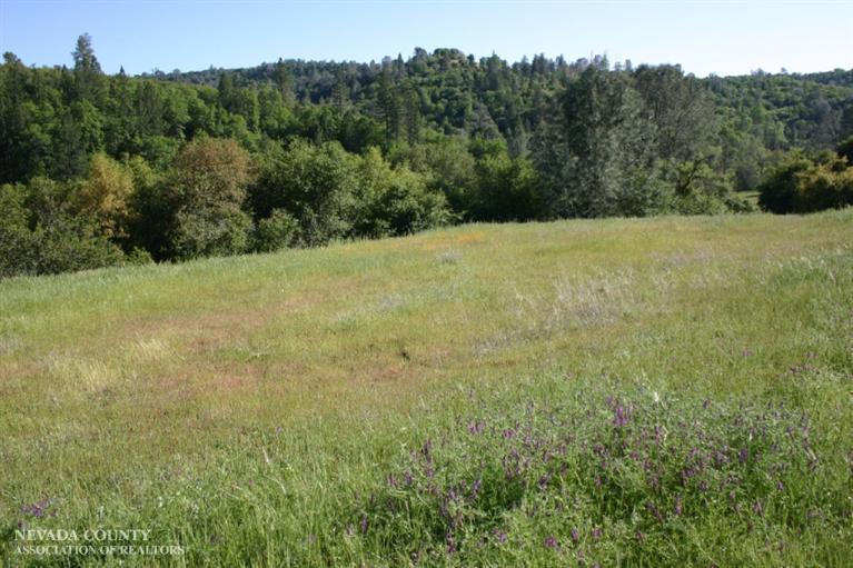 11673 Deer Creek Ranch Rd, Smartsville, United States 95977