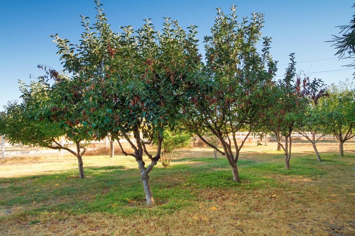 3029 Best Road, Yuba City, United States 95993