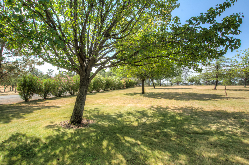 15200 La Paloma Way, Redding, United States 96001