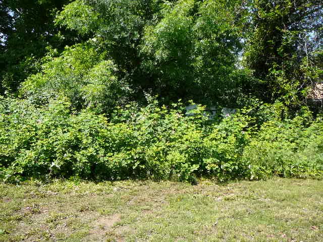 2174 Paris AvenueRedding, CA, 96001Shasta County