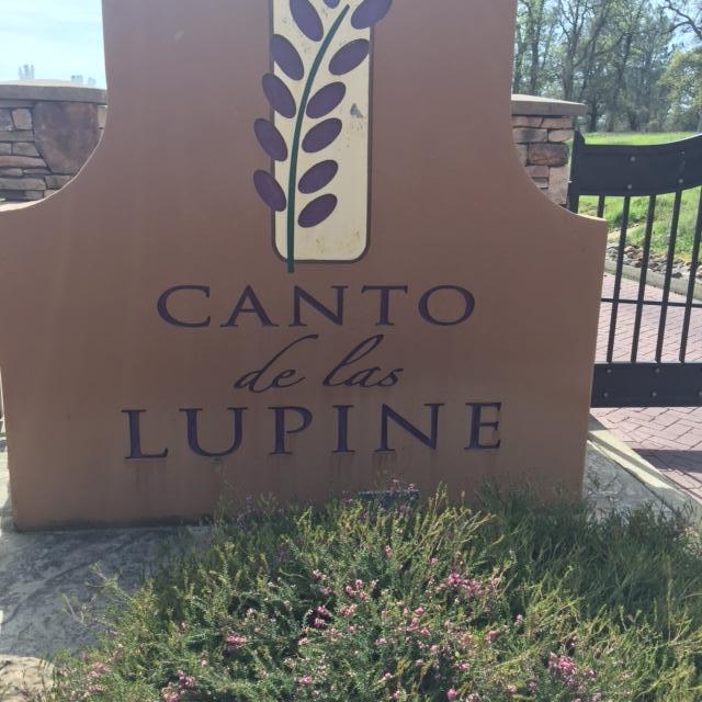 9 Canto De Las Lupine Dr, Redding, CA 96001