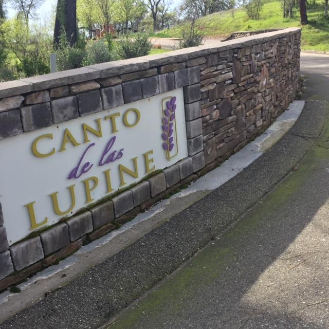 9 Canto De Las Lupine Dr, Redding, CA 96001