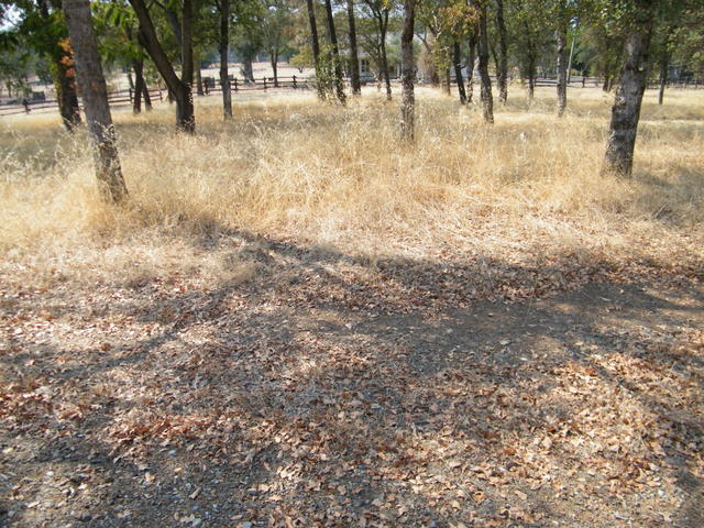 11047 Myrtlewood DrRedding, CA, 96003Shasta County