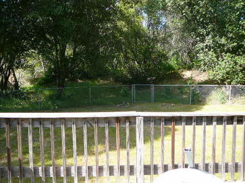 18135 Brincat Manor RdCottonwood, CA, 96022Tehama County