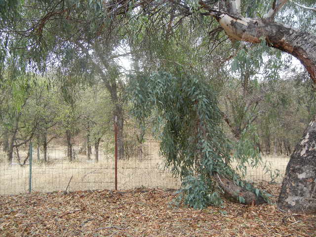 17385 Big Bear LnCottonwood, CA, 96022Tehama County