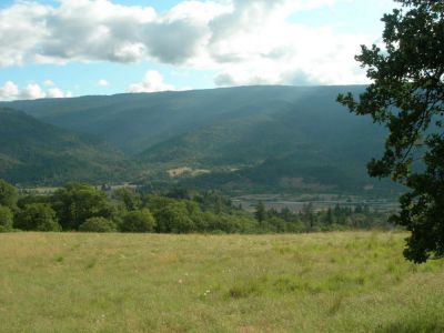 1671 Corral Bottom Rd, Hyampom, CA 96041