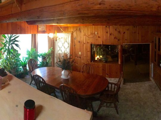 41 Olsen Creek Rd, Hyampom, CA 96046