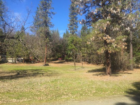 41 Olsen Creek Rd, Hyampom, CA 96046