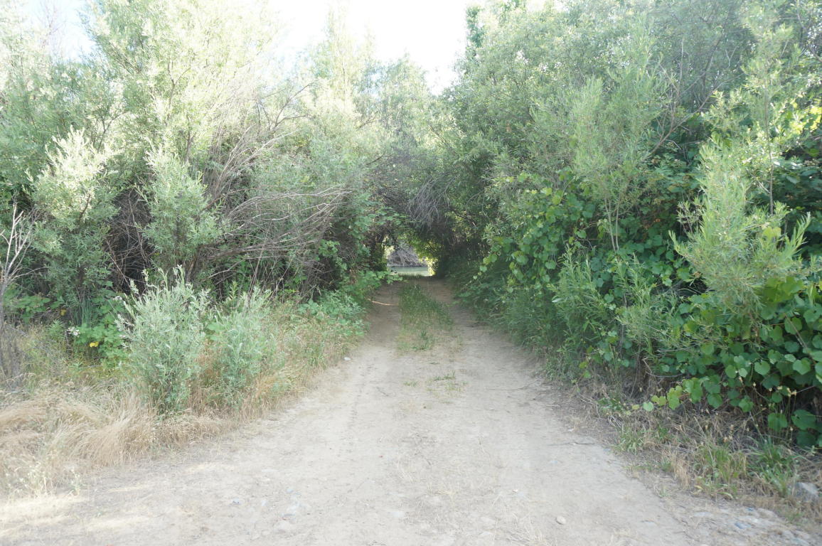 3000 Sky Ranch Road, Junction City, CA 96048