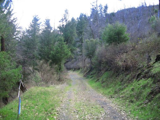 311 Oak Ranch Rd., Lewiston, CA 96052