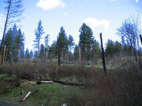 311 Oak Ranch Rd., Lewiston, CA 96052