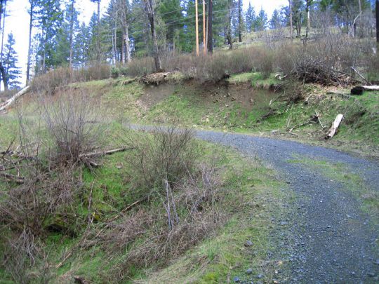 311 Oak Ranch Rd., Lewiston, CA 96052