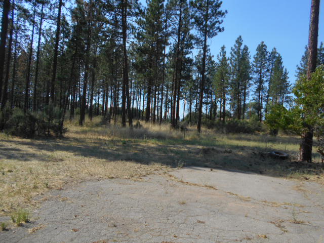 45333 State Highway 299 EMcarthur, CA, 96056Shasta County