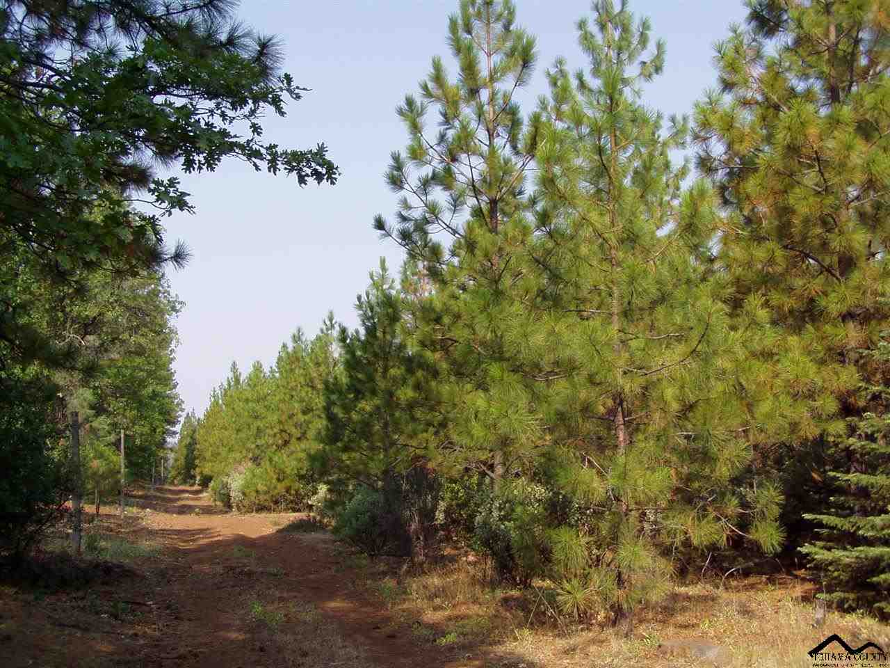 000 Ponderosa Way, Paynes Creek, CA 96075