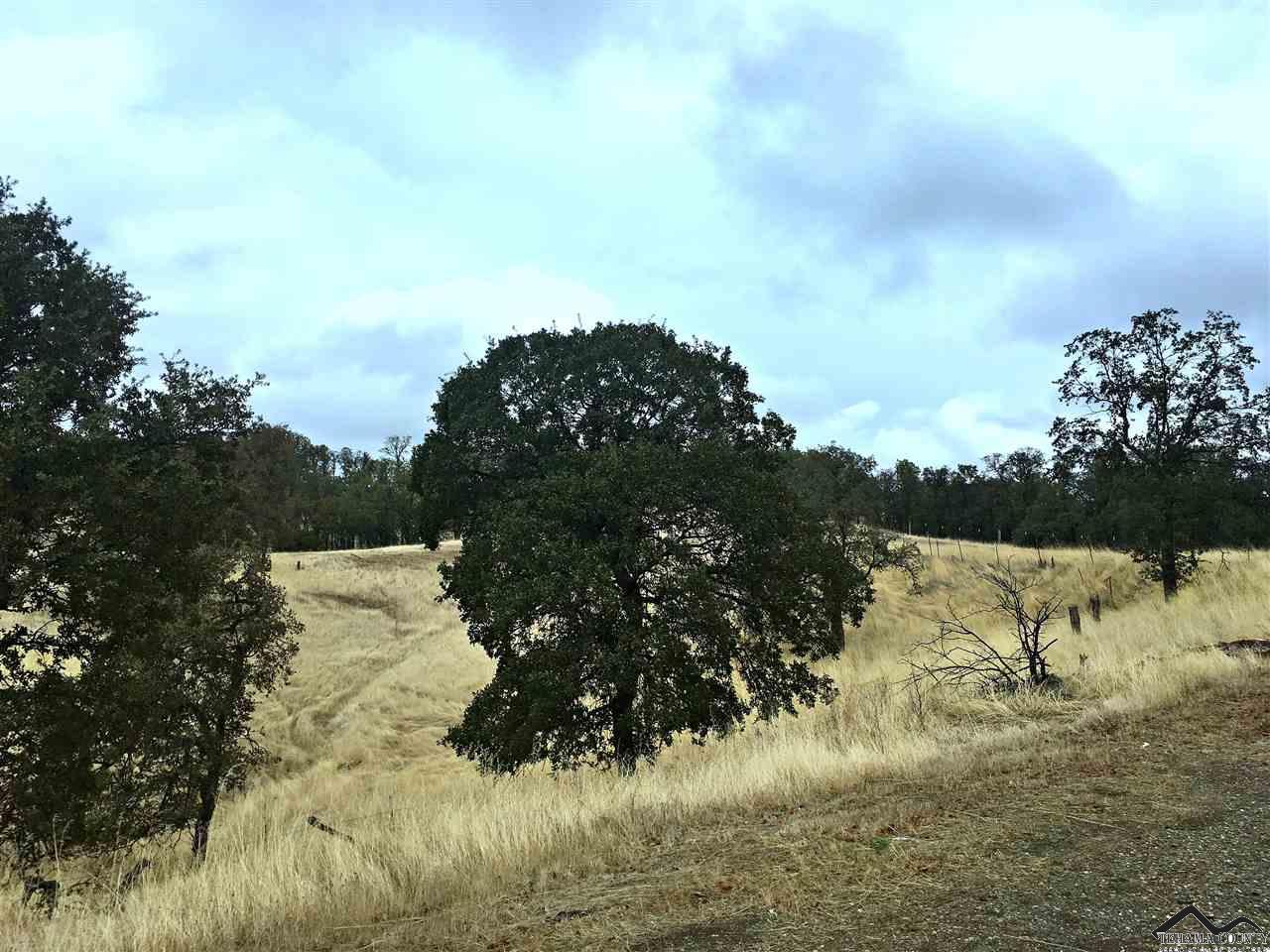14985 Frontier Drive, Red Bluff, CA 96080