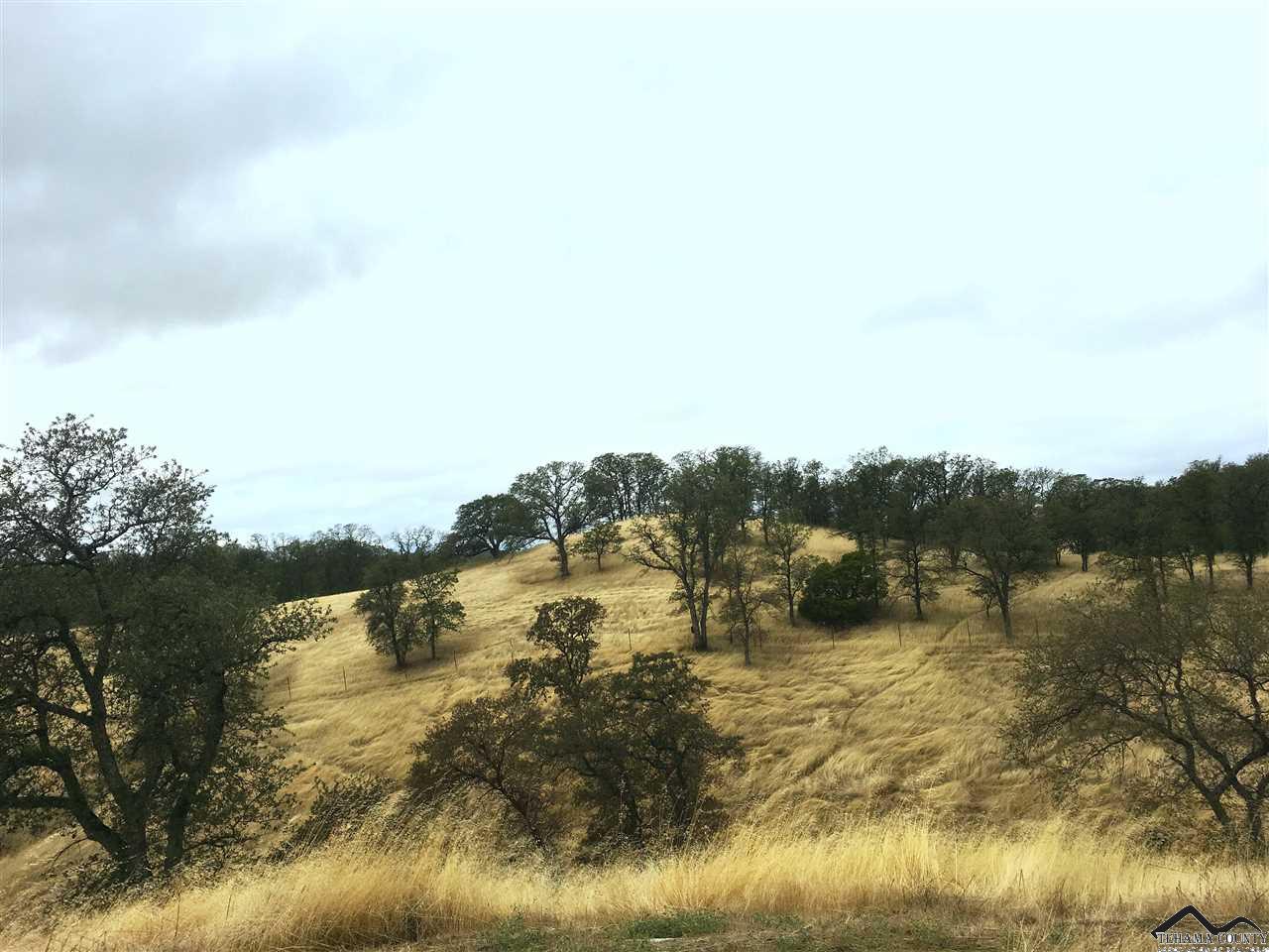 14985 Frontier Drive, Red Bluff, CA 96080